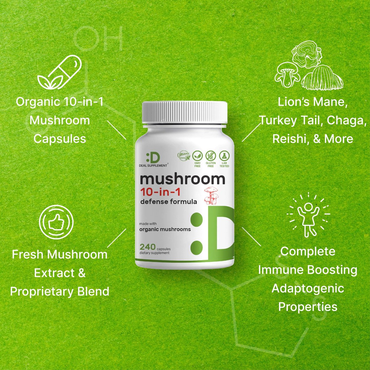 Bio 10-in-1 Pilzpräparat, 240 Kapseln – Löwenmähne, Truthahnschwanz, Reishi, Cordyceps & mehr Pilzkomplex – Immununterstützung, Energie & nootrope Gehirnunterstützung – Nicht-GVO