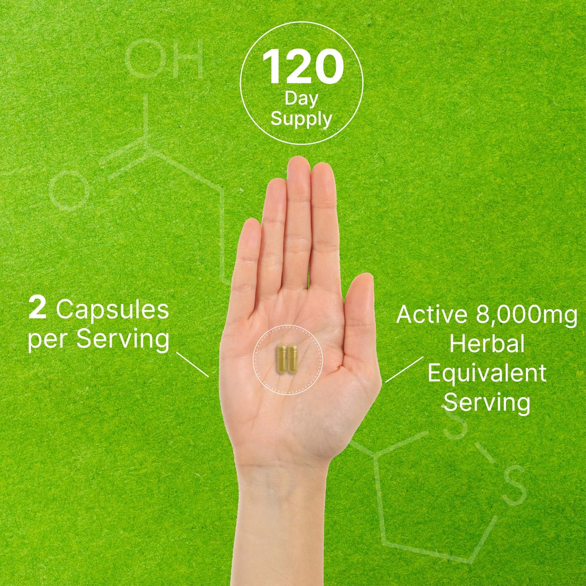 Bio 10-in-1 Pilzpräparat, 240 Kapseln – Löwenmähne, Truthahnschwanz, Reishi, Cordyceps & mehr Pilzkomplex – Immununterstützung, Energie & nootrope Gehirnunterstützung – Nicht-GVO