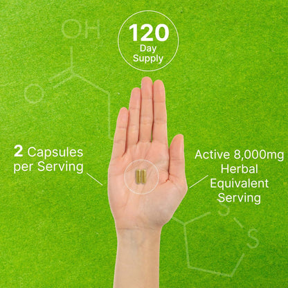 Bio 10-in-1 Pilzpräparat, 240 Kapseln – Löwenmähne, Truthahnschwanz, Reishi, Cordyceps & mehr Pilzkomplex – Immununterstützung, Energie & nootrope Gehirnunterstützung – Nicht-GVO