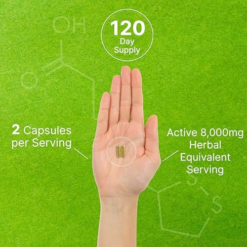 Bio 10-in-1 Pilzpräparat, 240 Kapseln – Löwenmähne, Truthahnschwanz, Reishi, Cordyceps & mehr Pilzkomplex – Immununterstützung, Energie & nootrope Gehirnunterstützung – Nicht-GVO