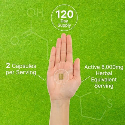 Bio 10-in-1 Pilzpräparat, 240 Kapseln – Löwenmähne, Truthahnschwanz, Reishi, Cordyceps & mehr Pilzkomplex – Immununterstützung, Energie & nootrope Gehirnunterstützung – Nicht-GVO