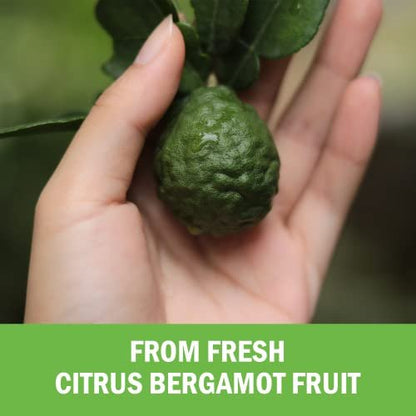 Citrus Bergamot 1000 mg – Citrus-Bergamotte-Supplement für Cholesterin und Herzgesundheit – Ultra-konzentriert aus frischen Früchten für verbesserte Aufnahme – Vegan, Non-GMO, glutenfrei – 120 Mini-Kapseln