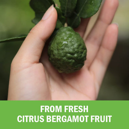 Citrus Bergamot 1000 mg – Citrus-Bergamotte-Supplement für Cholesterin und Herzgesundheit – Ultra-konzentriert aus frischen Früchten für verbesserte Aufnahme – Vegan, Non-GMO, glutenfrei – 120 Mini-Kapseln