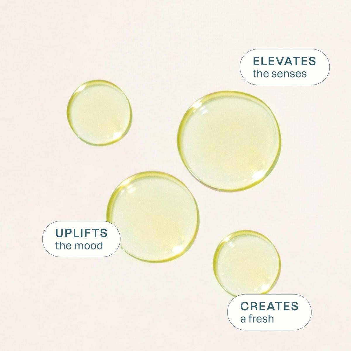 Cliganic Bio Limettenöl für Haare, Haut, Aromatherapie - 100% rein natürlich, unverdünnt, Non-GMO verifiziert