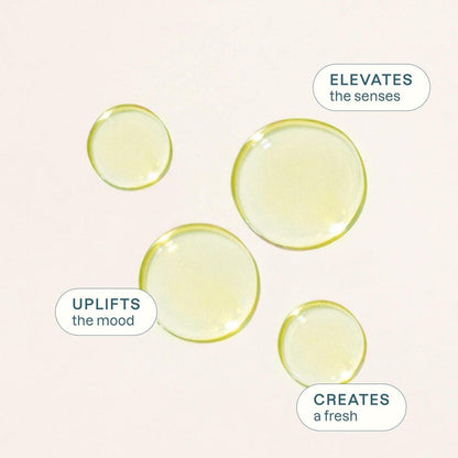 Cliganic Bio Limettenöl für Haare, Haut, Aromatherapie - 100% rein natürlich, unverdünnt, Non-GMO verifiziert