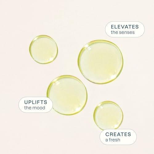 Cliganic Bio Limettenöl für Haare, Haut, Aromatherapie - 100% rein natürlich, unverdünnt, Non-GMO verifiziert