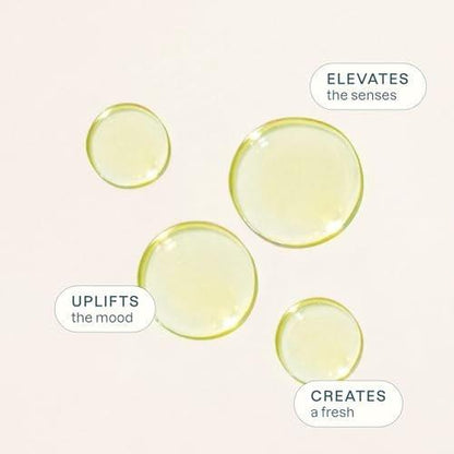 Cliganic Bio Limettenöl für Haare, Haut, Aromatherapie - 100% rein natürlich, unverdünnt, Non-GMO verifiziert