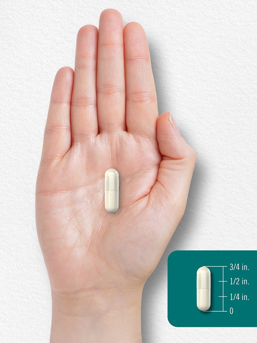 Carlyle L-Theanin 200 mg – 120 Kapseln – Nahrungsergänzungsmittel, Nicht-GVO, Glutenfrei