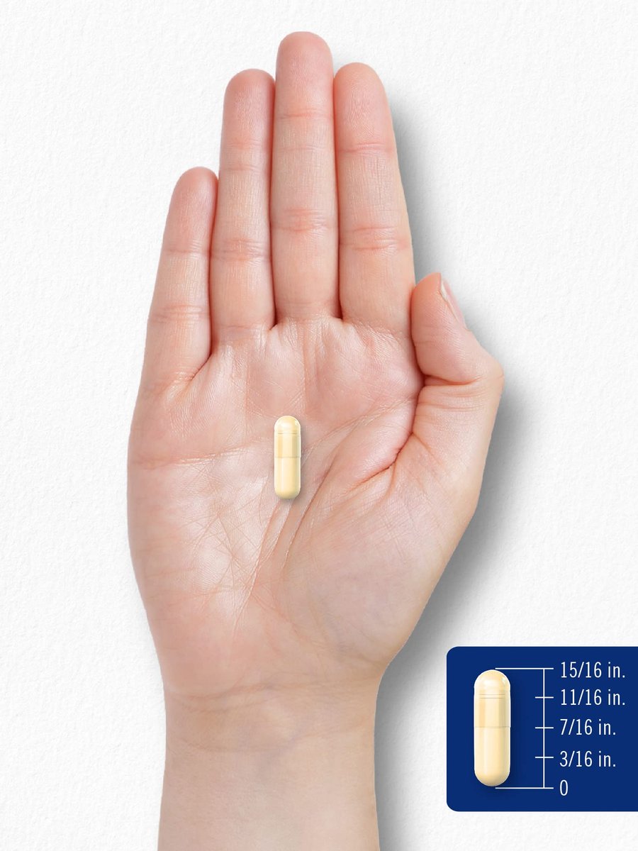 Carlyle Alpha-Liponsäure 600 mg mit Biotin-Booster – 90 Kapseln, Non-GMO & Glutenfrei