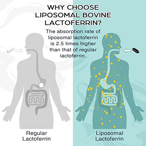 Pepeior Liposomales Rinder-Lactoferrin 1000 mg – Höhere Absorption – für Eisenaufnahme & Immunfunktion, Lactoferrin Ergänzung für Erwachsene, 60 Softgels