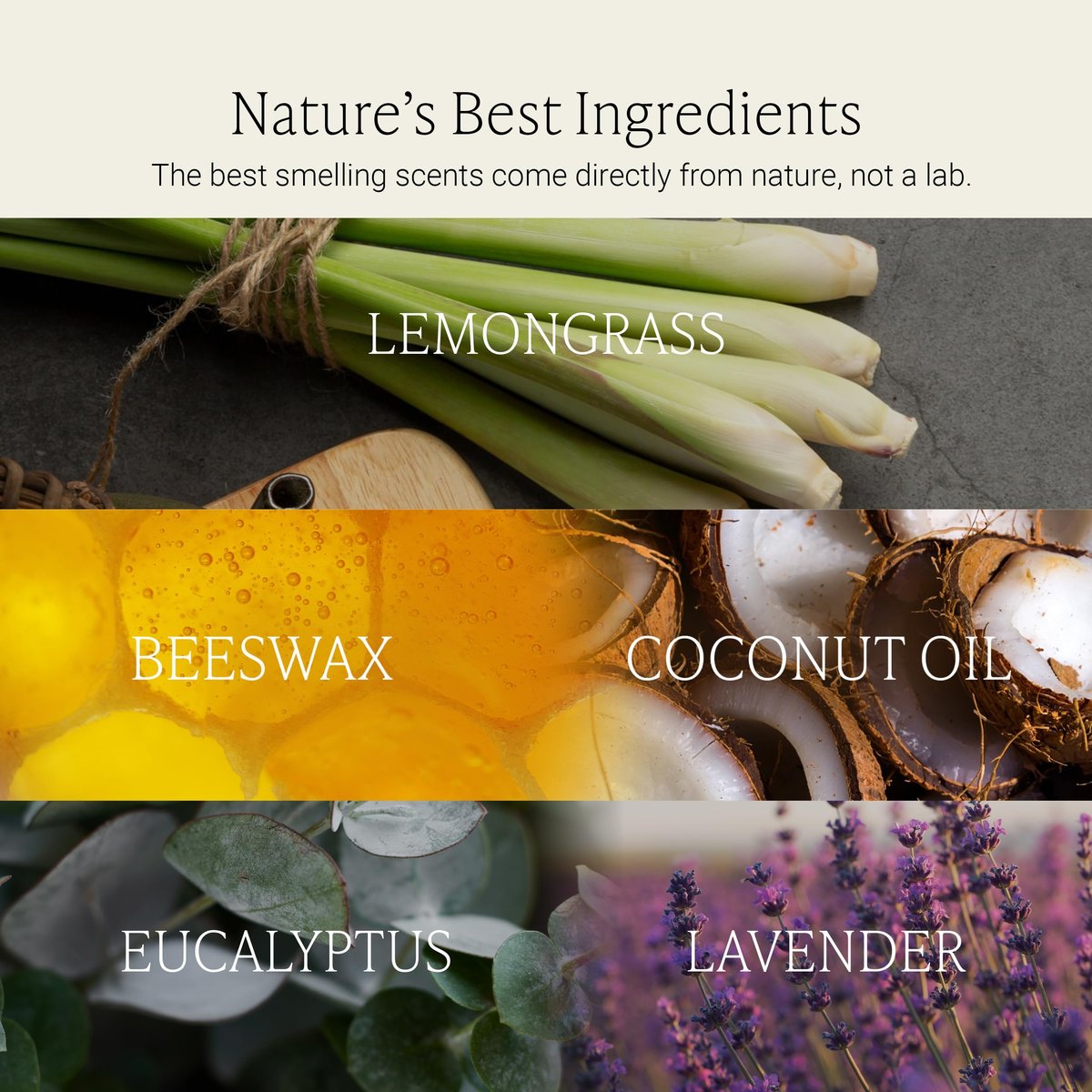 Fontana Candle Co Holzdocht Bienenwachs Kerze im Glas, Lemongrass Eukalyptus – Hergestellt mit Kokosöl & reinen ätherischen Ölen – 35+ Std sauberer Brand, langlebig & ungiftig für Wohn- & Raumdekoration