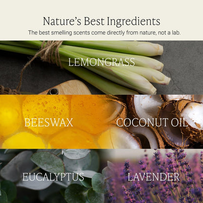 Fontana Candle Co Holzdocht Bienenwachs Kerze im Glas, Lemongrass Eukalyptus – Hergestellt mit Kokosöl & reinen ätherischen Ölen – 35+ Std sauberer Brand, langlebig & ungiftig für Wohn- & Raumdekoration