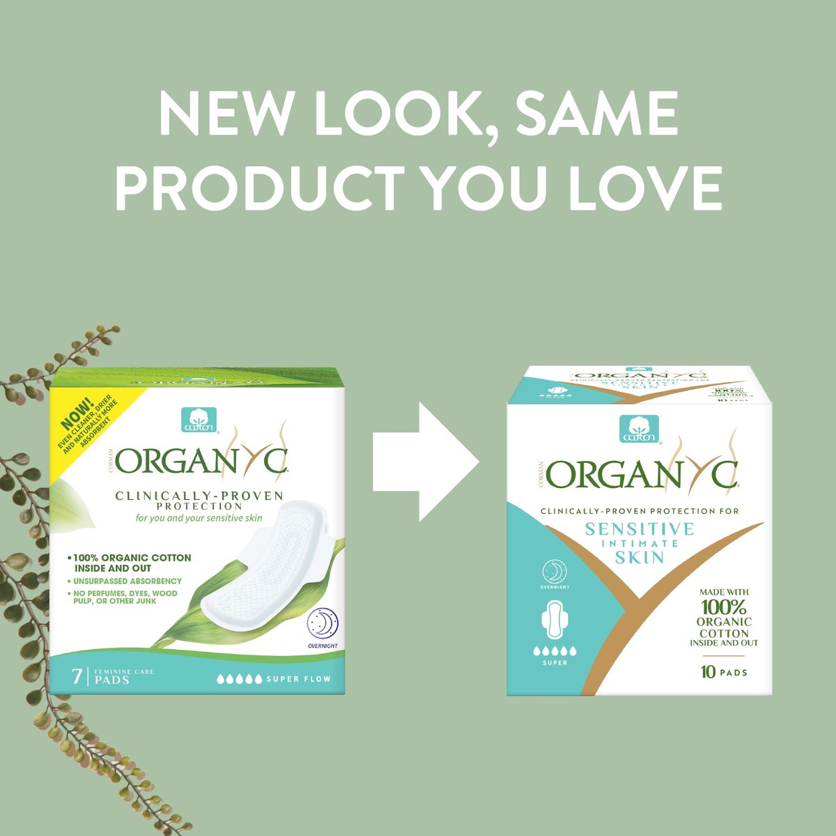 Organyc Übernacht-Binden – 100 % zertifizierte Bio-Baumwolle, innen und außen, für die stärkste Periode, super saugfähig 2.0, 7 Stück