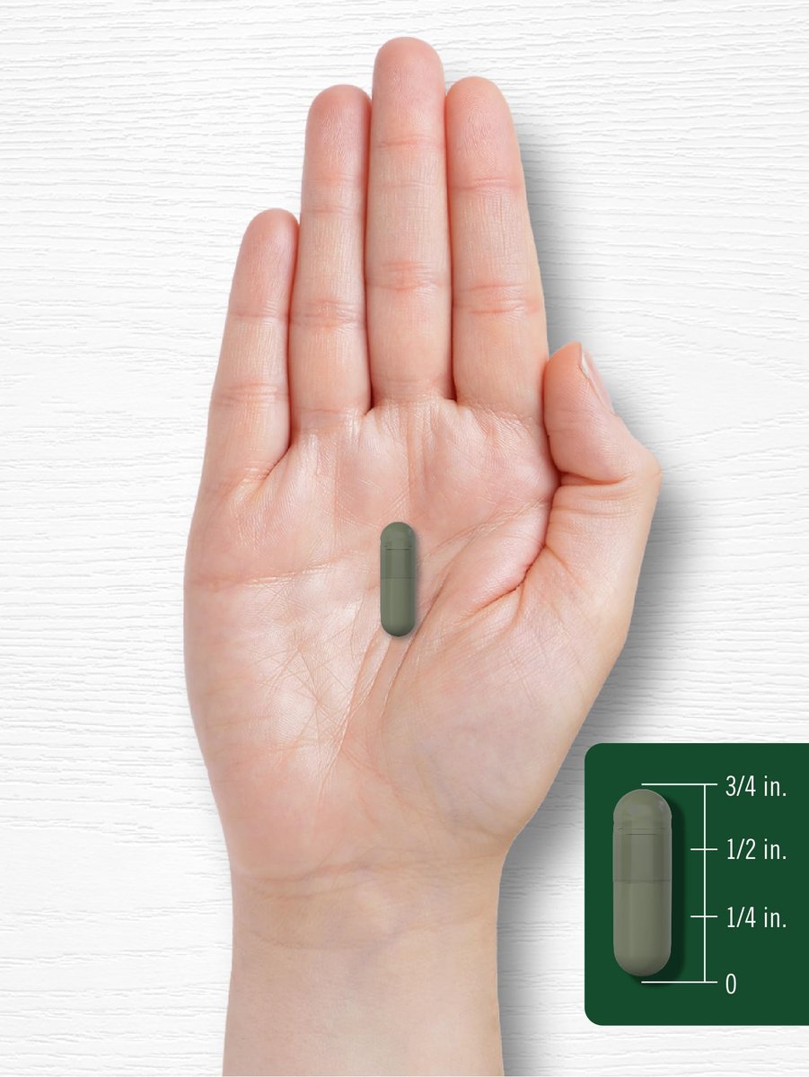 Carlyle Chlorophyll Kapseln | 90 Kapseln | Natürlich vorkommendes Pigment | Chlorophyll-Konzentrat Nahrungsergänzungsmittel | Non-GMO, Glutenfrei Komplex