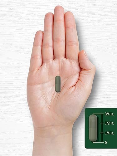Carlyle Chlorophyll Kapseln | 90 Kapseln | Natürlich vorkommendes Pigment | Chlorophyll-Konzentrat Nahrungsergänzungsmittel | Non-GMO, Glutenfrei Komplex