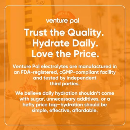 Venture Pal Zuckerfreie Elektrolyte Pulver Beutel - Flüssige tägliche IV Hydratation Packungen | Sofortige Hydratation & Party Erholung | 5 Vitamine & 7 Elektrolyte | Zertifiziert Vegan, Keto, Nicht-GVO | 16 Sticks