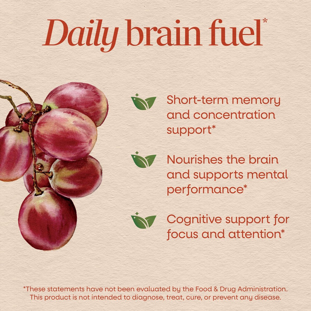 Nature's Way Brain Fuel Gummies – Nahrungsergänzungsmittel für Fokus und Gedächtnis, klinisch getestetes Cognigrape, Vitamine B6 & B12, Traubengeschmack, 60 Stück