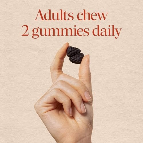 Nature's Way Brain Fuel Gummies – Nahrungsergänzungsmittel für Fokus und Gedächtnis, klinisch getestetes Cognigrape, Vitamine B6 & B12, Traubengeschmack, 60 Stück
