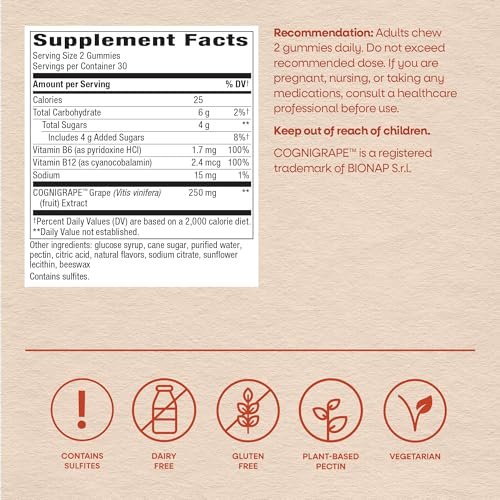 Nature's Way Brain Fuel Gummies – Nahrungsergänzungsmittel für Fokus und Gedächtnis, klinisch getestetes Cognigrape, Vitamine B6 & B12, Traubengeschmack, 60 Stück