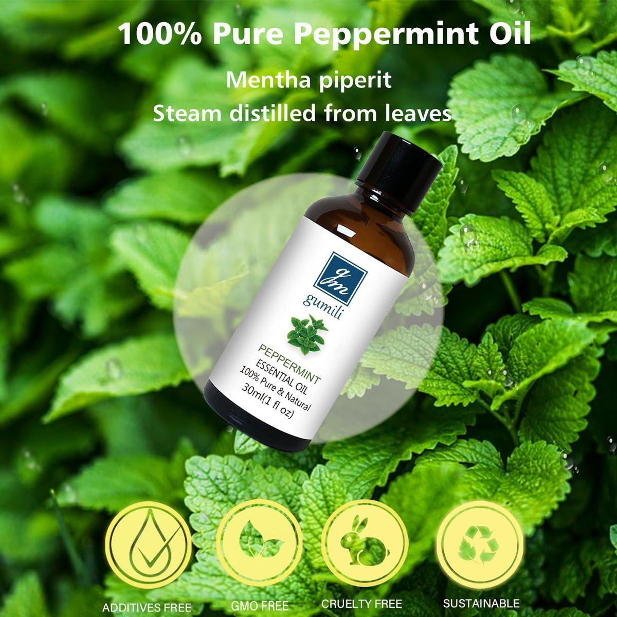 GM Gumili Pfefferminzöl für Diffuser, Haare, Spray, Seife, Duschgel – 100% reines ätherisches Pfefferminzöl – 30 ml