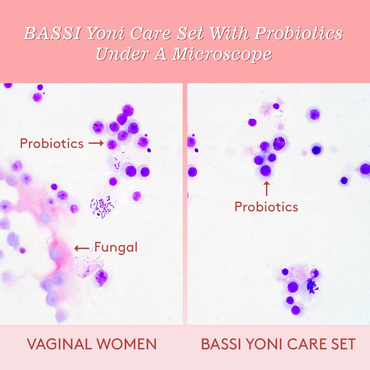 Feminine Wash & Yoni Oil & Yoni Seife Set für Frauen – Yoni Wash für vaginales pH-Gleichgewicht, Geruchsentfernung, Yoni Oil zur Feuchtigkeitspflege – 1 Fl.Oz Feminine Oil & 5,07 Fl.Oz Vaginalgel & 3,53 Oz Yoni Seife Pfirsich