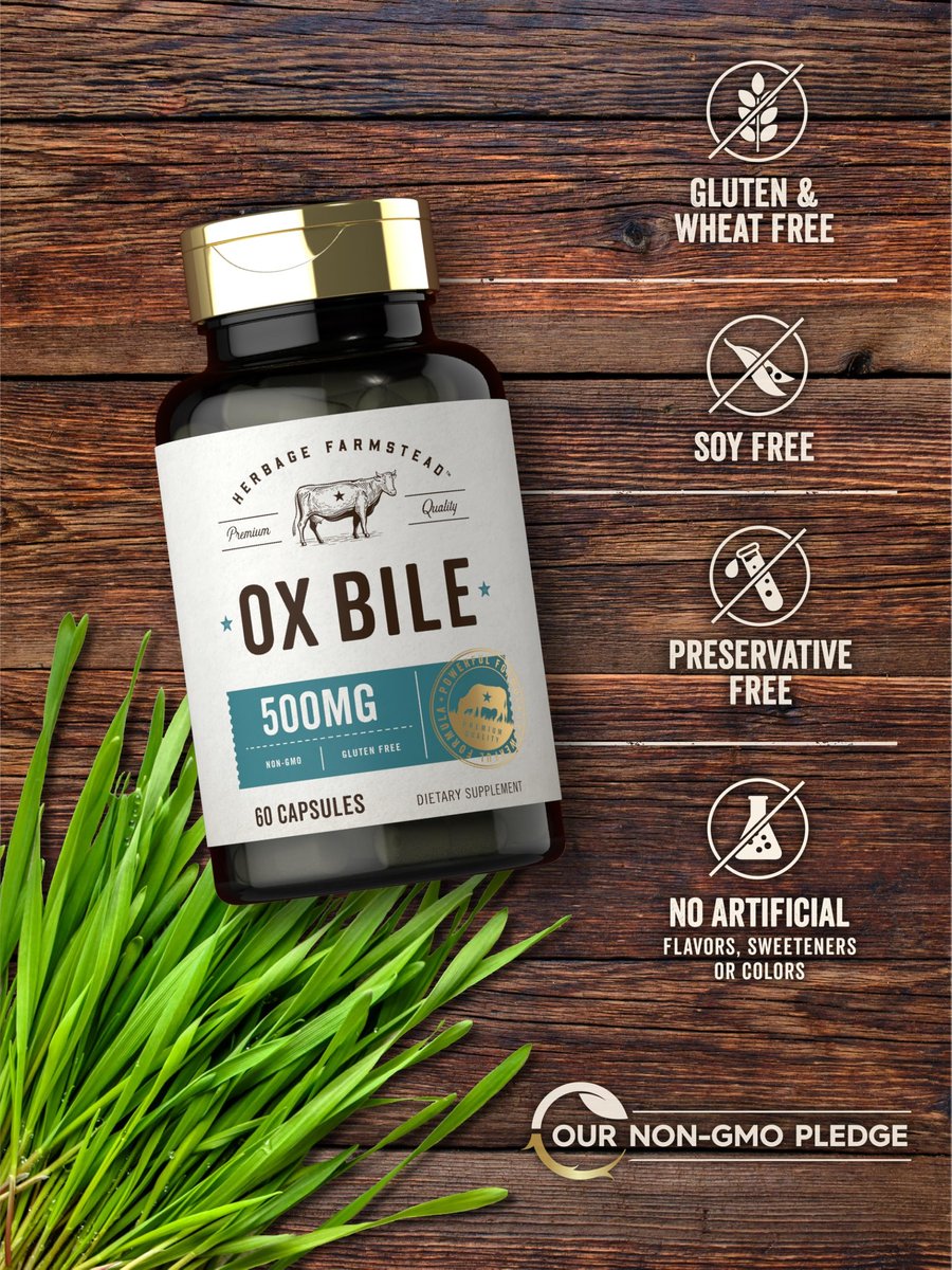 Carlyle Ox Galle Supplement 500 mg | 60 Kapseln | Verdauungsenzyme | Non-GMO & Glutenfrei | von Herbage Farmstead