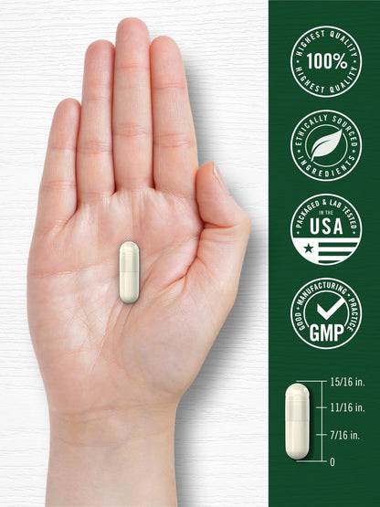 Carlyle Magnesium Glycinat mit Ashwagandha | 120 vegane Kapseln | Potentes Duo | Nahrungsergänzungsmittel