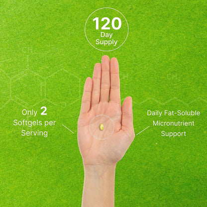 Vitamin E Kapseln, 1.000 IE pro Portion, 240 Weichkapseln – Extra starke antioxidative Unterstützung – Bioverfügbare stabile Form – Für Haut, Herz, Gehirn & Immunsystem – Nicht-GVO