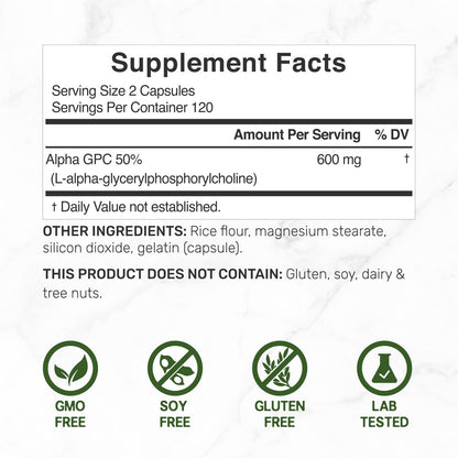 DEAL SUPPLEMENT Alpha GPC 600 mg pro Portion, 240 Kapseln – Cholin-Ergänzung – 120 Portionen – Non-GMO, Glutenfrei