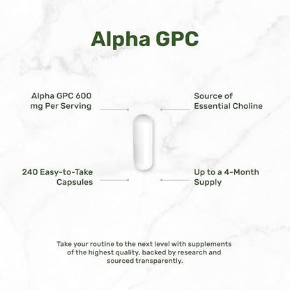 DEAL SUPPLEMENT Alpha GPC 600 mg pro Portion, 240 Kapseln – Cholin-Ergänzung – 120 Portionen – Non-GMO, Glutenfrei