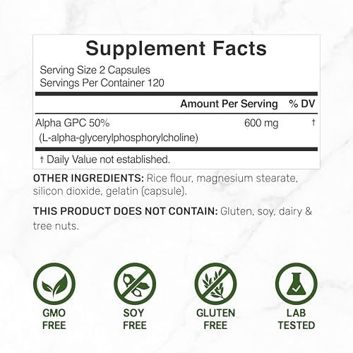 DEAL SUPPLEMENT Alpha GPC 600 mg pro Portion, 240 Kapseln – Cholin-Ergänzung – 120 Portionen – Non-GMO, Glutenfrei