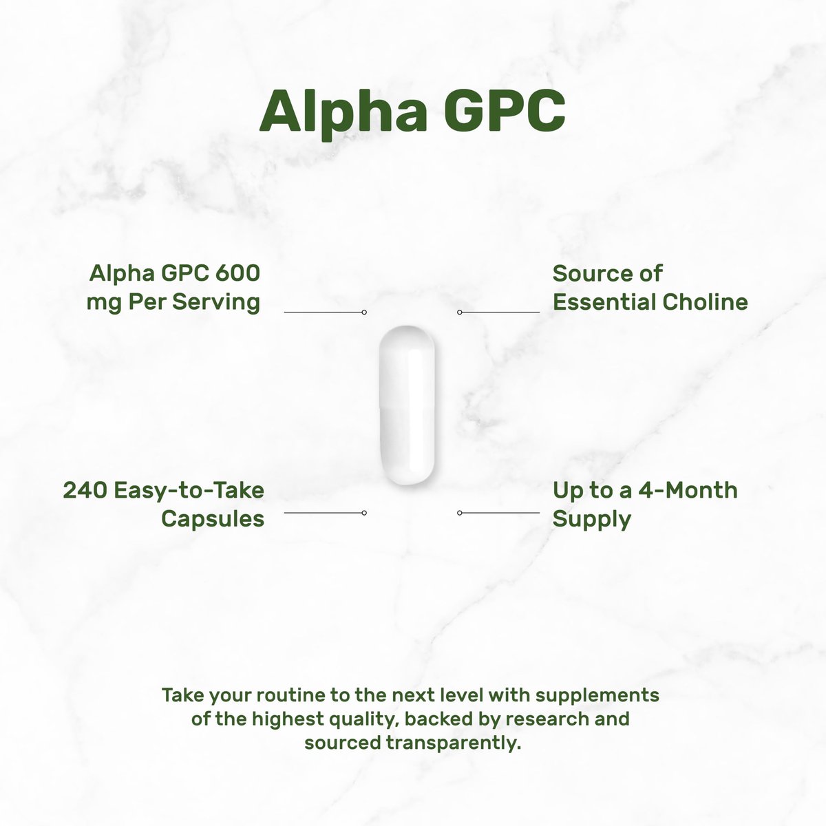 DEAL SUPPLEMENT Alpha GPC 600 mg pro Portion, 240 Kapseln – Cholin-Ergänzung – 120 Portionen – Non-GMO, Glutenfrei