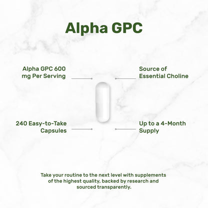 DEAL SUPPLEMENT Alpha GPC 600 mg pro Portion, 240 Kapseln – Cholin-Ergänzung – 120 Portionen – Non-GMO, Glutenfrei