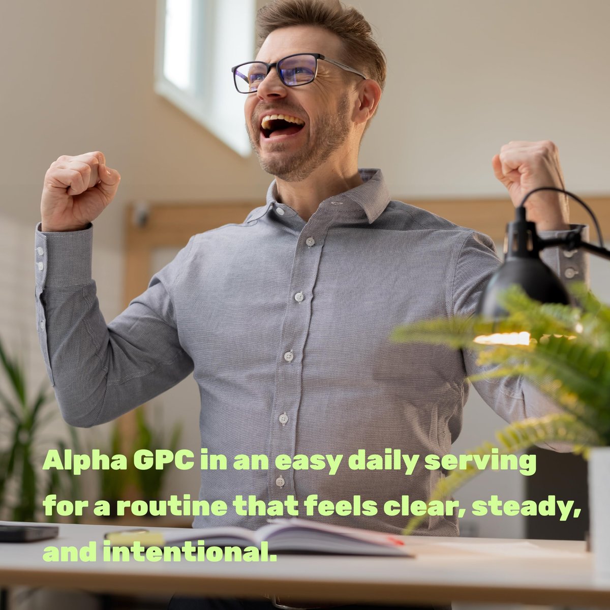 DEAL SUPPLEMENT Alpha GPC 600 mg pro Portion, 240 Kapseln – Cholin-Ergänzung – 120 Portionen – Non-GMO, Glutenfrei