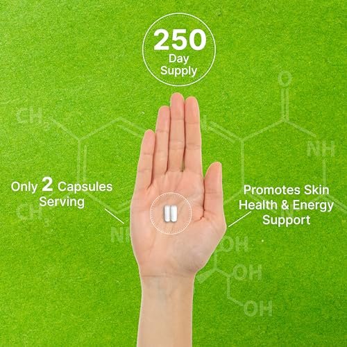 Vitamin B3 Nicotinamid 1.000 mg pro Portion – 500 Kapseln, flushfreies Niacin, essentielles B3 – Unterstützt gesunde Haut & Energieproduktion – Non-GMO