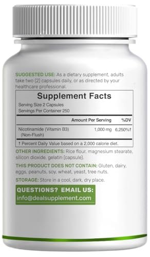 Vitamin B3 Nicotinamid 1.000 mg pro Portion – 500 Kapseln, flushfreies Niacin, essentielles B3 – Unterstützt gesunde Haut & Energieproduktion – Non-GMO