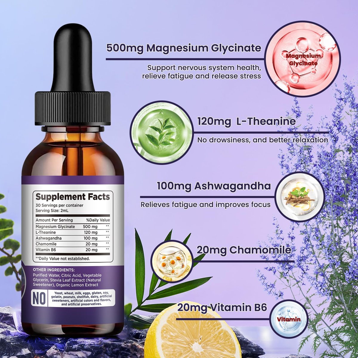Magnesium Glycinat Supplement – Flüssige Magnesium Tropfen mit 500mg Magnesiumglycinat, Vitamin B6, Ashwagandha, L-Theanin, Kamille – Unterstützt Stressabbau, Knochen, Muskeln, Stimmung – Vegan