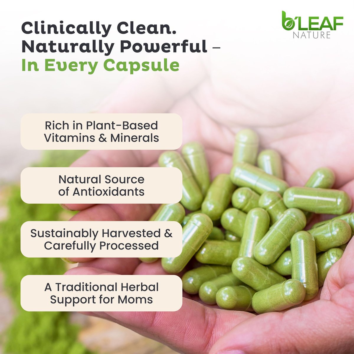 B'Leaf Nature Moringa Kapseln Bio 1000mg – Reines Moringa Oleifera Blattpulver für Energie & Immununterstützung | Non-GMO, Glutenfrei, Vegan, Superfood | 90 vegane Kapseln