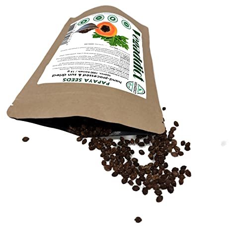 100 % natürliche sonnengetrocknete Papayasamen | Hoher Papain- & Carpain-Gehalt | Ohne Zusätze | Vegan | Laborgeprüft | Gluten- & laktosefrei | Ethisch bezogen | (ca. 1000 Samen)