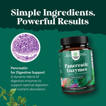 Natures Craft Pankreatin-Verdauungsenzyme für die Darmgesundheit – Verdauungsenzyme für Frauen und Männer mit Protease, Lipase und Amylase – gegen Blähungen, für Magen, Fett-, Kohlenhydrat- und Proteinverdauung – 60 Kapseln