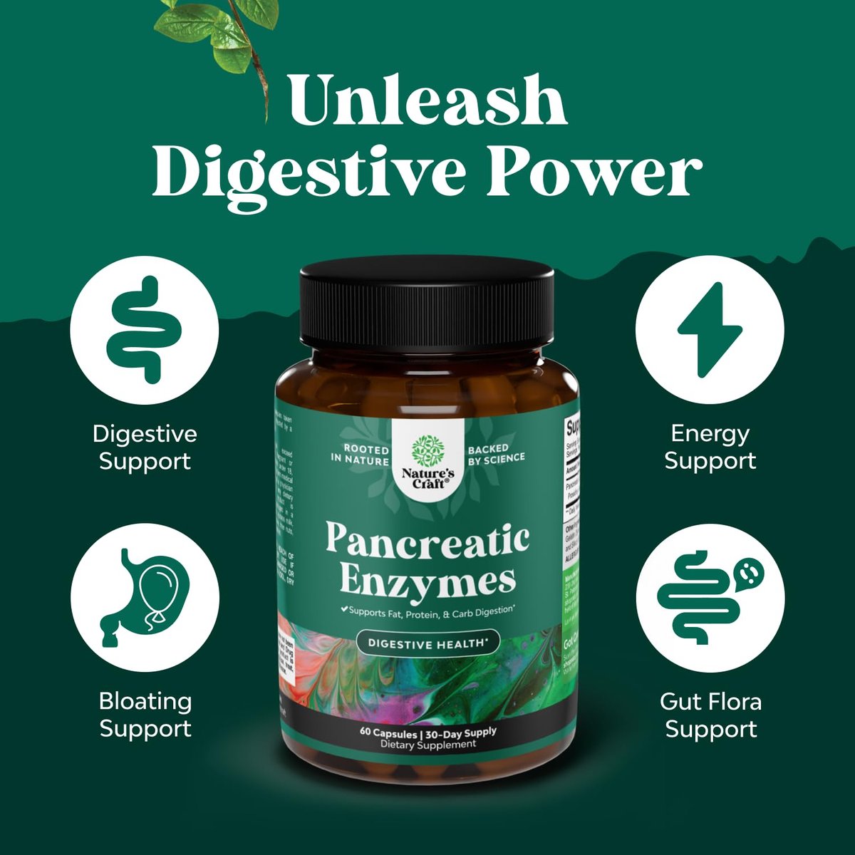 Natures Craft Pankreatin-Verdauungsenzyme für die Darmgesundheit – Verdauungsenzyme für Frauen und Männer mit Protease, Lipase und Amylase – gegen Blähungen, für Magen, Fett-, Kohlenhydrat- und Proteinverdauung – 60 Kapseln