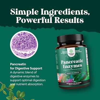 Natures Craft Pankreatin-Verdauungsenzyme für die Darmgesundheit – Verdauungsenzyme für Frauen und Männer mit Protease, Lipase und Amylase – gegen Blähungen, für Magen, Fett-, Kohlenhydrat- und Proteinverdauung – 60 Kapseln