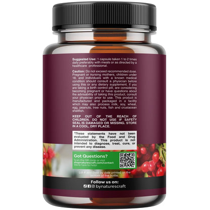 Fortschrittliche Nierenunterstützung – Nierenreinigung & Detox mit Cranberry-Extrakt, Bärentraube, Brennnessel & Astragalus – 60 Kapseln