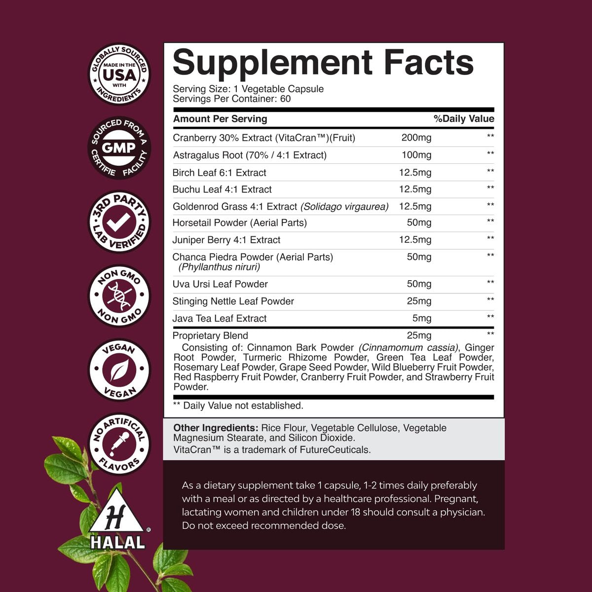 Fortschrittliche Nierenunterstützung – Nierenreinigung & Detox mit Cranberry-Extrakt, Bärentraube, Brennnessel & Astragalus – 60 Kapseln
