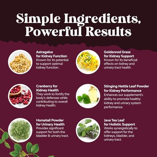 Fortschrittliche Nierenunterstützung – Nierenreinigung & Detox mit Cranberry-Extrakt, Bärentraube, Brennnessel & Astragalus – 60 Kapseln