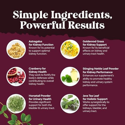 Fortschrittliche Nierenunterstützung – Nierenreinigung & Detox mit Cranberry-Extrakt, Bärentraube, Brennnessel & Astragalus – 60 Kapseln