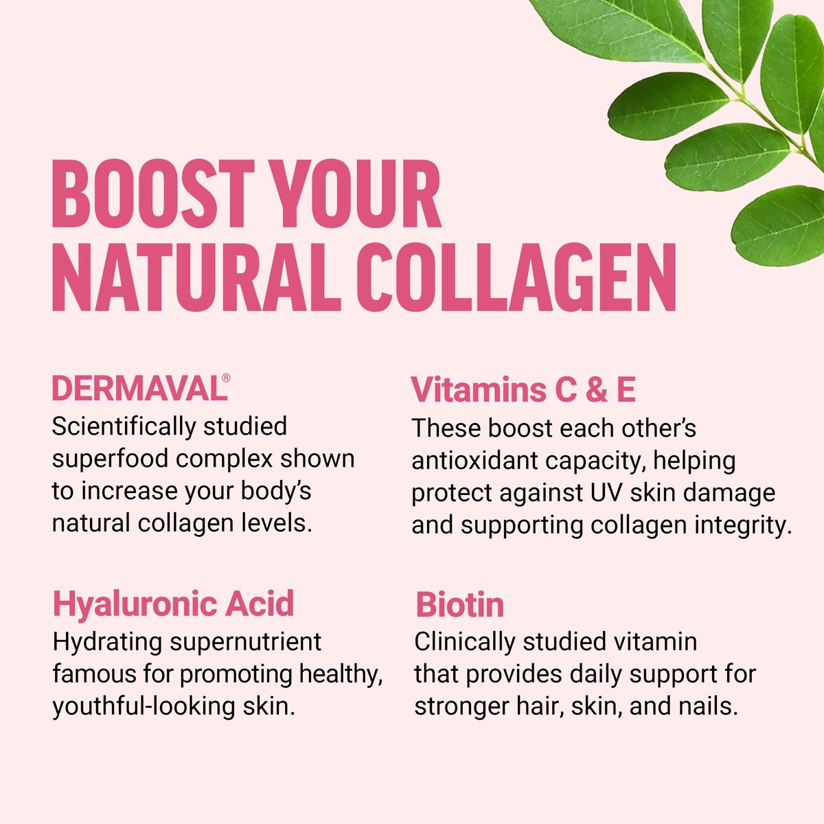 Force Factor Kollagen-Boosting Superfoods – Veganer Kollagen-Booster für Frauen mit Biotin, Hyaluronsäure und Vitamin C – Für Haut, Haare, Nägel und Gelenke – Tropische Frucht – 60 weiche Kautabletten