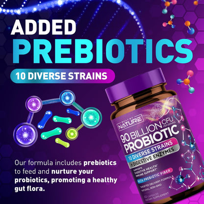 100 Milliarden KBE Probiotikum – Tägliches Verdauungs-Gesundheitspräparat für Männer & Frauen – Lactobacillus acidophilus, Bifidobacterium & Präbiotika – Non-GMO, gluten- & laktosefrei, lagerstabil – 60 Kapseln