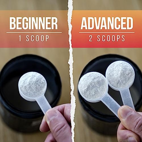 ALPHA LION Core Pre-Workout Pulver mit Kreatin, Beta-Alanin, L-Citrullin & Tri-Quellen-Koffein für langanhaltende Energie (30 Portionen, Fruchtpunsch-Geschmack)