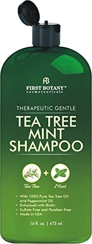 First Botany Teebaumöl-Shampoo 473 ml – Anti-Schuppen-Shampoo mit natürlichen Ölen für trockene, juckende & schuppige Kopfhaut – Sulfatfrei, parabenfrei – Vorbeugung gegen Kopfläuse & Haarausfall